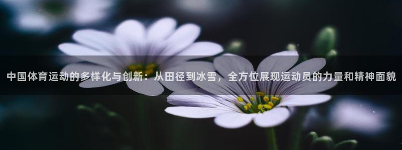 77体育