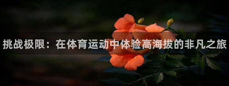 77体育官网