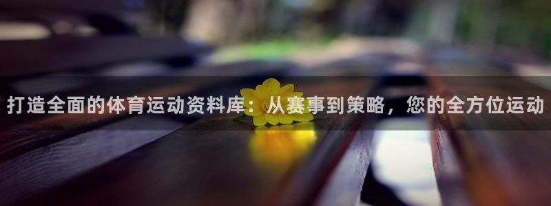 77体育官网