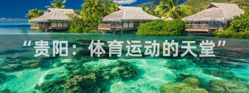 77体育app下载官网