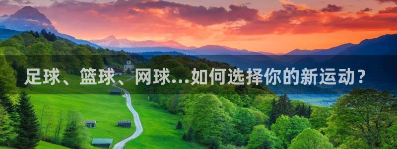 77体育