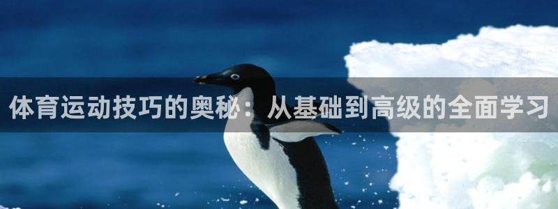 77体育