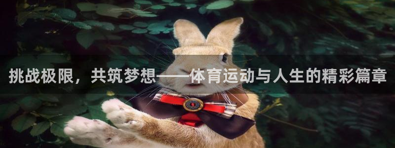 77体育app下载官网