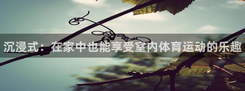 77体育官网