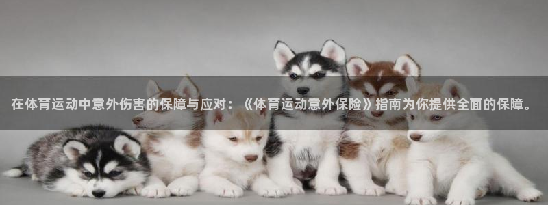 77体育官网