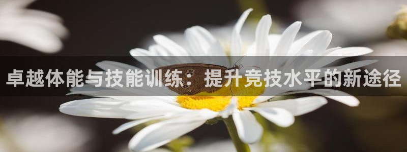77体育