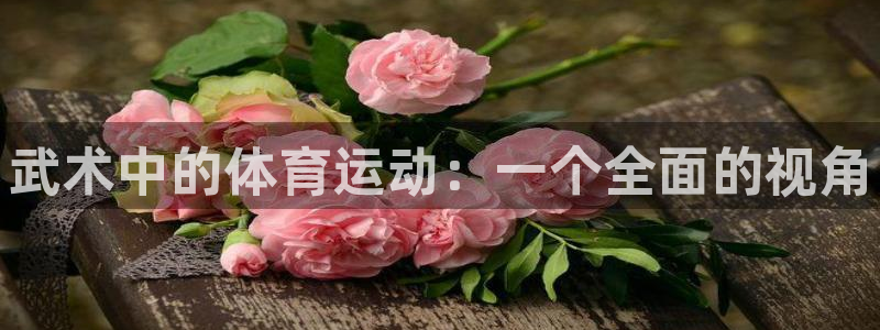 77体育app下载官网