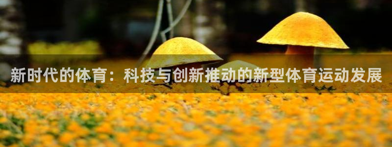 77体育app下载官网