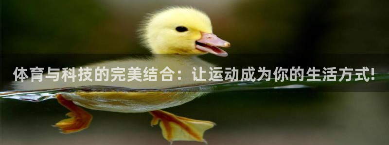 77体育