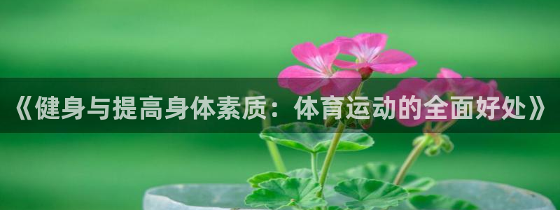 77体育官网