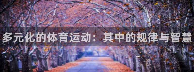 77体育