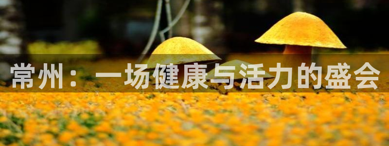 77体育官网
