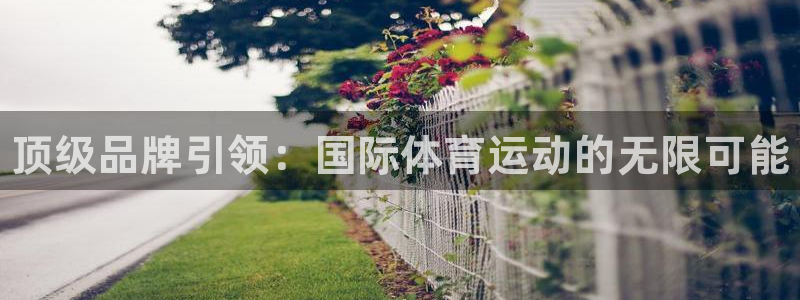 77体育