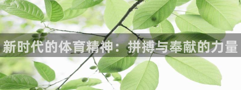 77体育