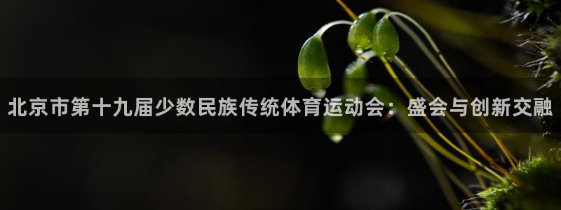 77体育