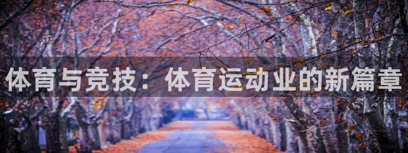 77体育