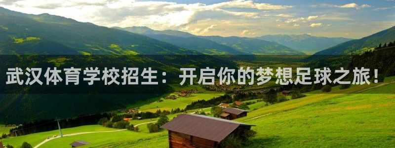 77体育官网