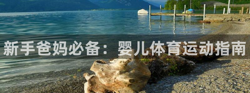 77体育官网