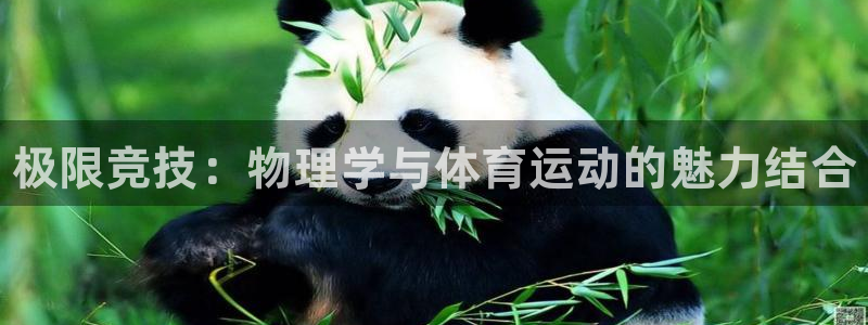 皇冠277体育