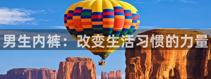 77体育官网