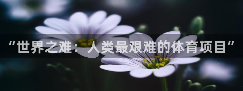 皇冠277体育