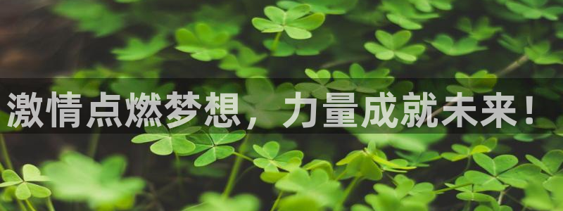 皇冠277体育