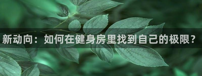 77体育
