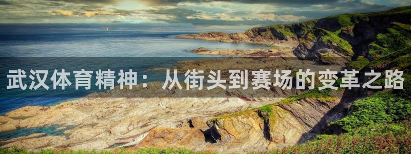 77体育app下载官网