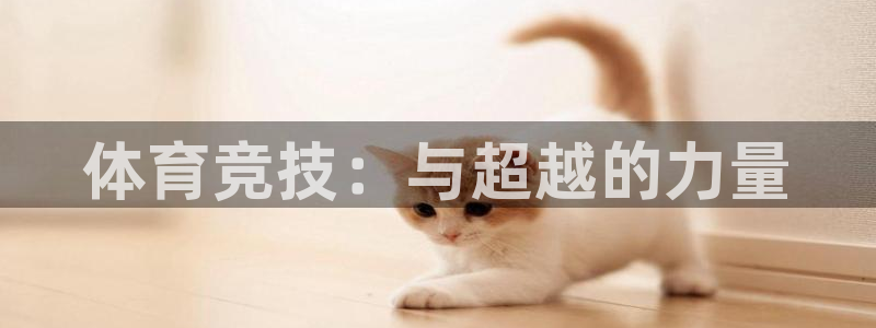 77体育