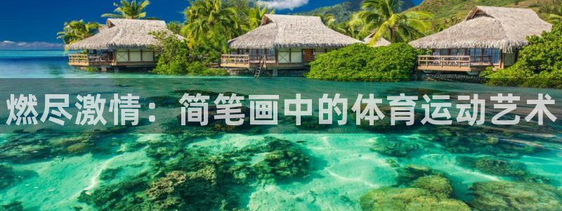 77体育官网
