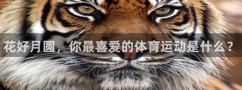 77体育app下载官网