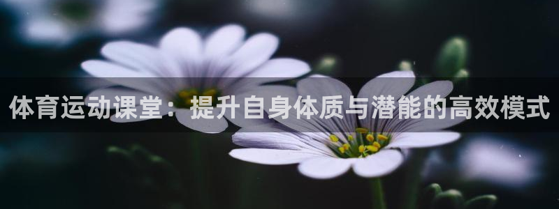 77体育