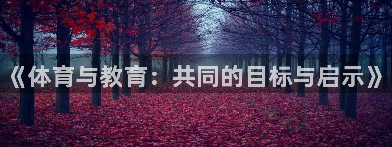 77体育