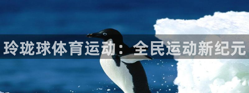 77体育app下载官网