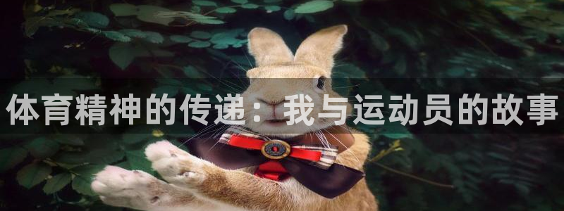 77体育app下载官网