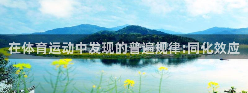77体育官网