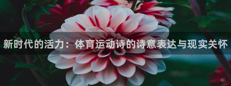 77体育app下载官网