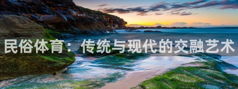 77体育官网