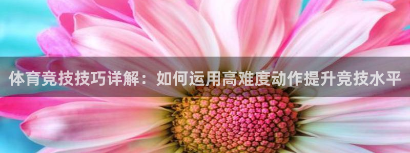 77体育app下载官网