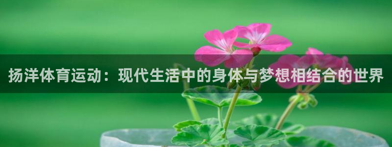 77体育官网