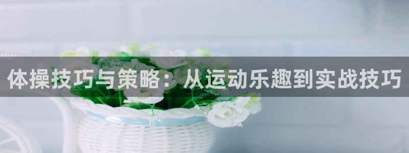 77体育官网
