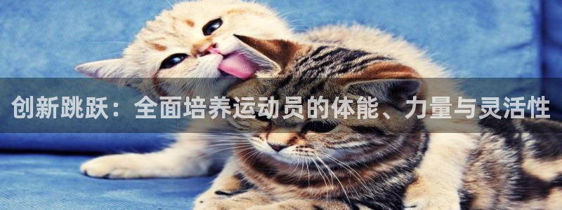 77体育官网