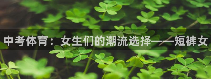 77体育官网