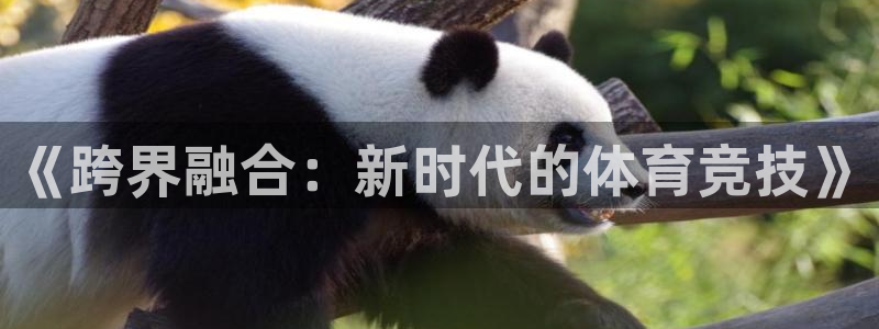 77体育官网