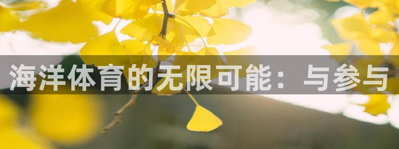 77体育官网