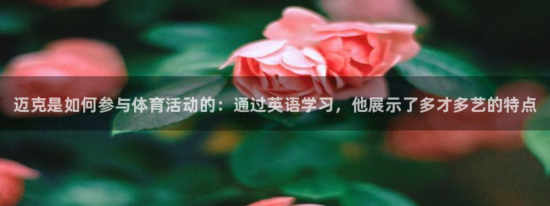 77体育官网